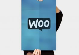 Woo Logo 3