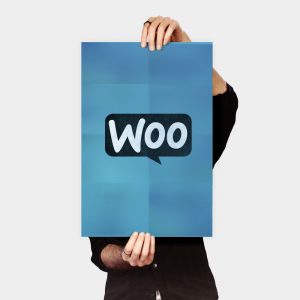 Woo Logo 3